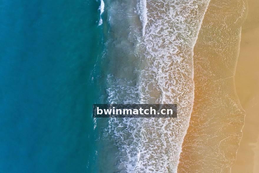 bwin意甲防守数据解析：三中卫体系的复兴