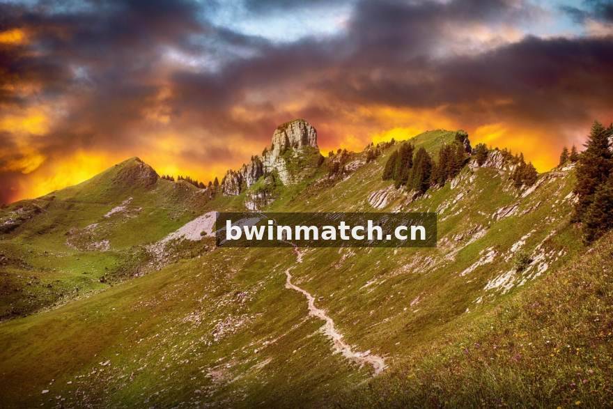 bwin 精选热点英超轮换策略配图