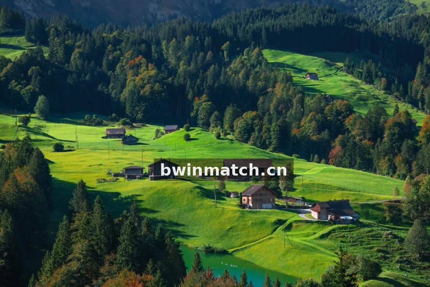 bwin 积分排名与球队数据服务配图
