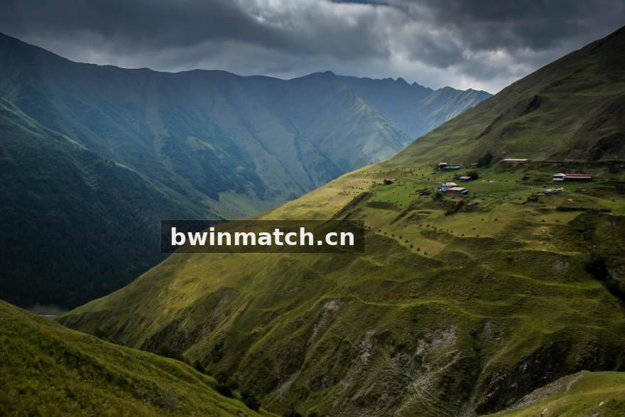 bwin 平台发展历程配图