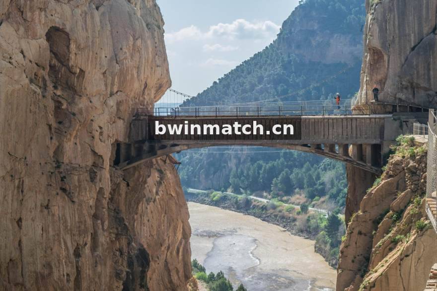 bwin 精选热点青训体系配图